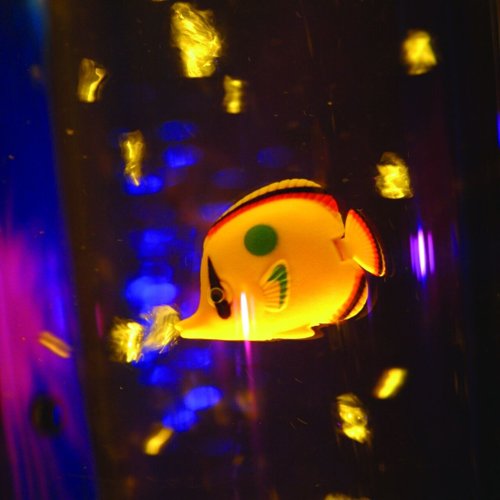 Peces para columna de burbujas