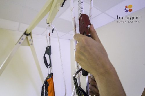 Sistema vestibular complet Tau