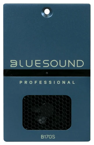Streamer con amplificación BLUESOUNDpro® B170S
