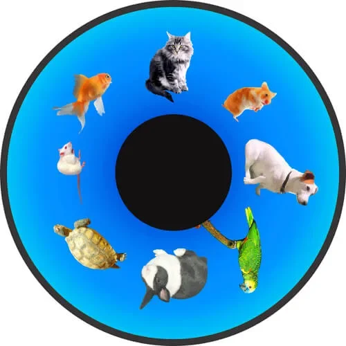 6″ Picture Wheel for Solar/Aura projector