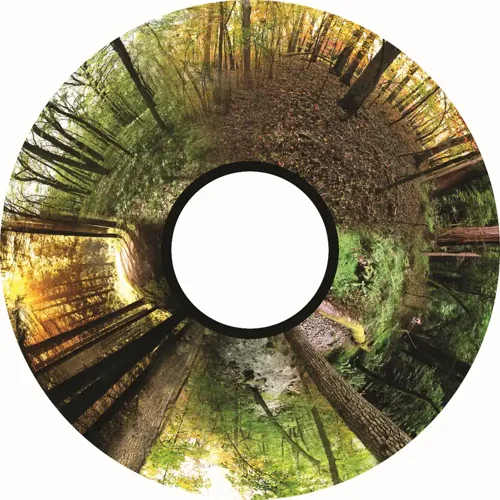 6″ Picture Wheel for Solar/Aura projector