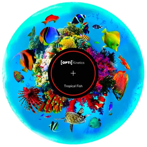 6″ Picture Wheel for Solar/Aura projector